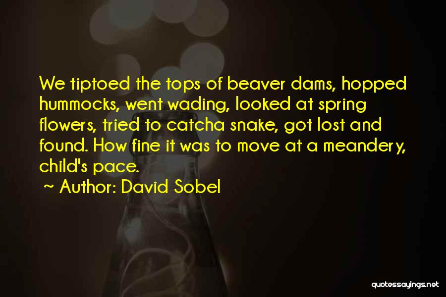 Flowers And Spring Quotes By David Sobel