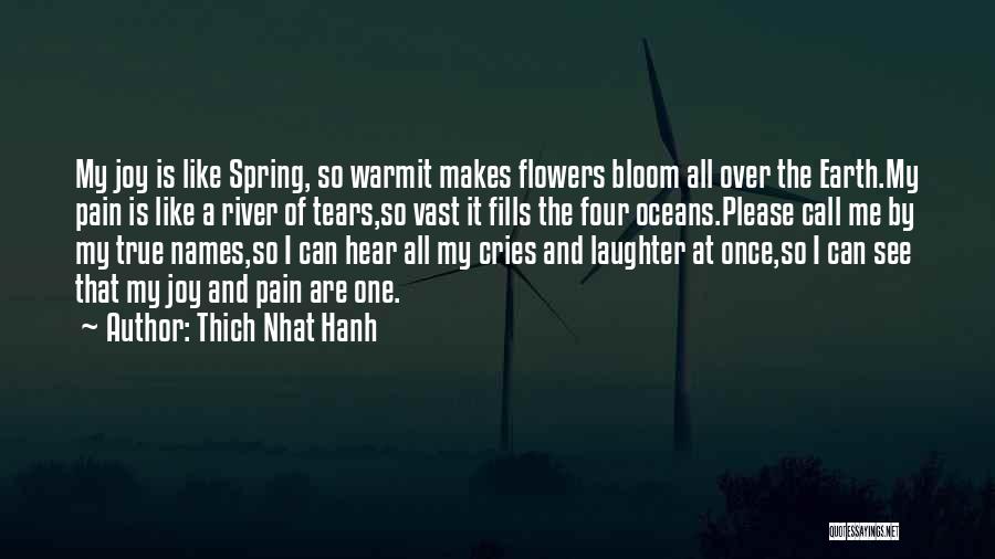 Flowers And Spring Quotes By Thich Nhat Hanh