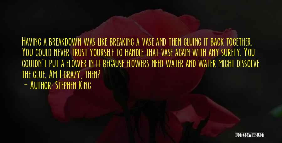 Flowers And Water Quotes By Stephen King