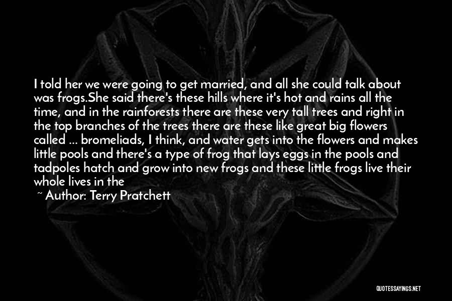 Flowers And Water Quotes By Terry Pratchett