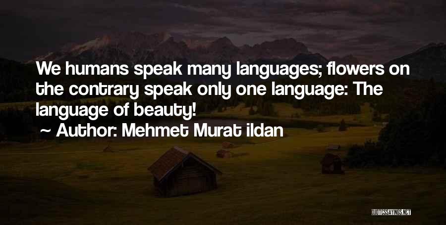 Flowers Beauty Quotes By Mehmet Murat Ildan