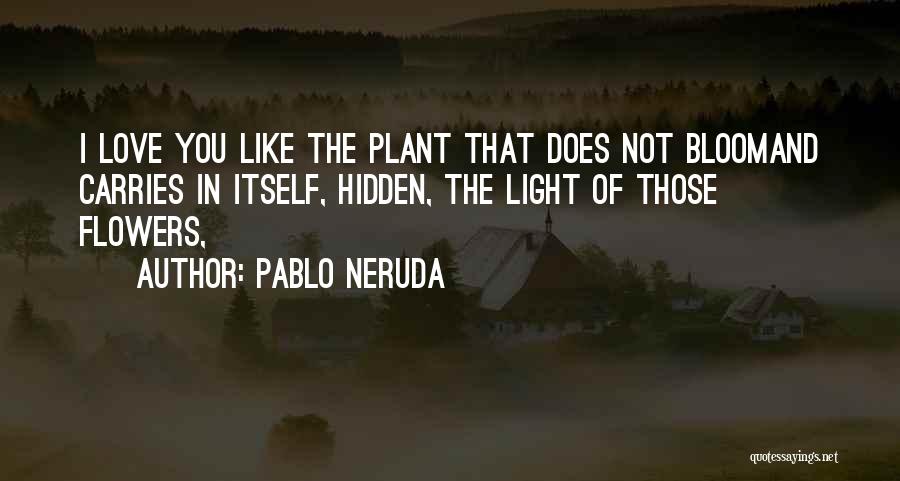 Flowers Bloom Love Quotes By Pablo Neruda