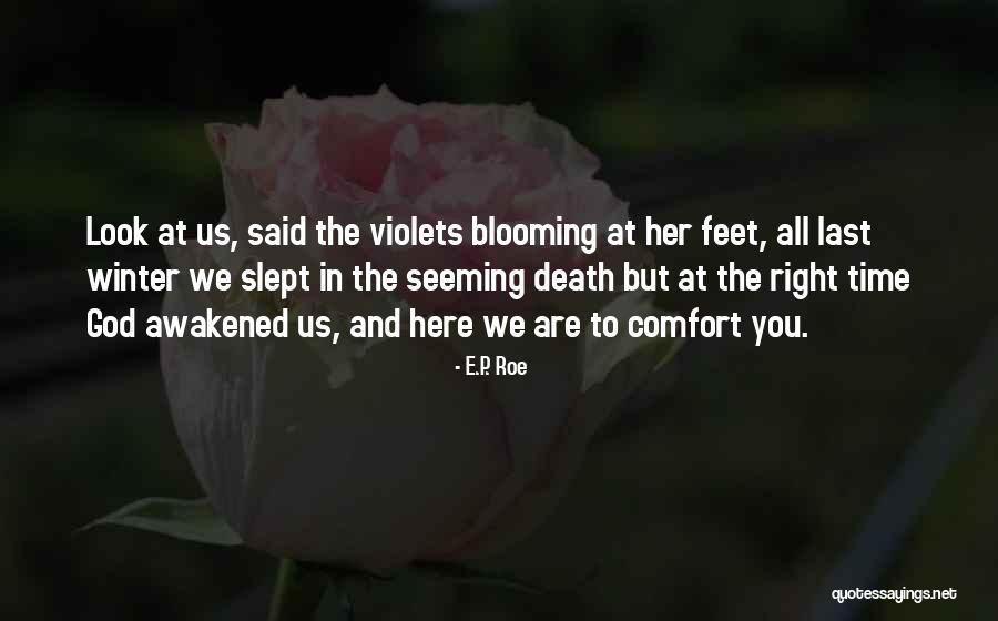 Flowers Blooming Quotes By E.P. Roe