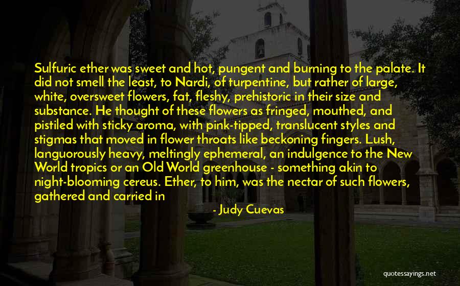 Flowers Blooming Quotes By Judy Cuevas