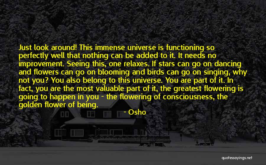 Flowers Blooming Quotes By Osho Flowers Blooming Quotes By Osho