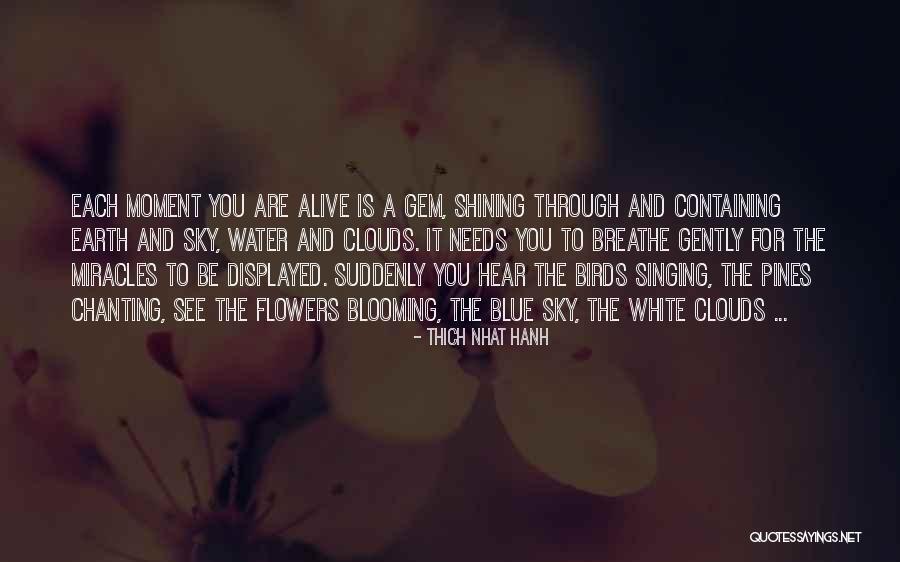 Flowers Blooming Quotes By Thich Nhat Hanh Flowers Blooming Quotes By Thich Nhat Hanh