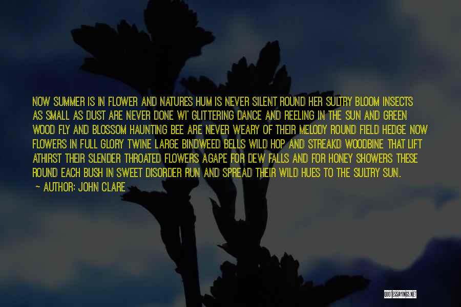 Flowers Blossom Quotes By John Clare