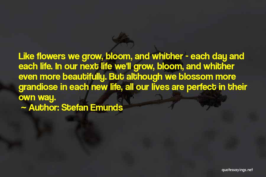 Flowers Blossom Quotes By Stefan Emunds