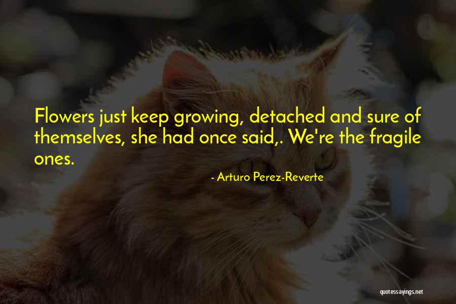 Flowers Growing Quotes By Arturo Perez-Reverte