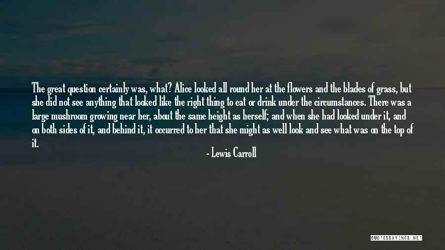 Flowers Growing Quotes By Lewis Carroll