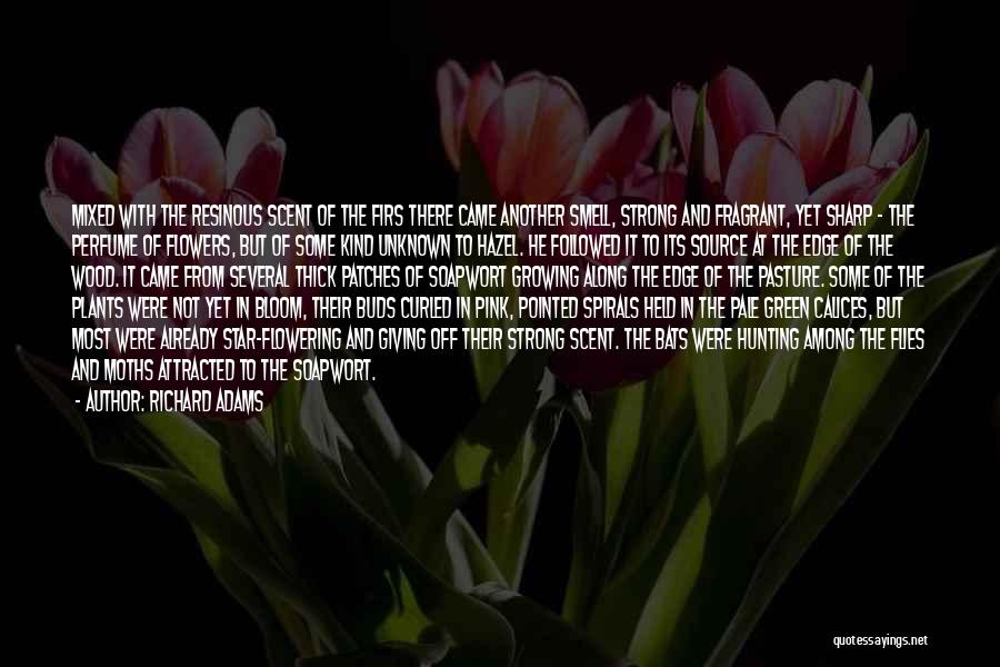 Flowers Growing Quotes By Richard Adams