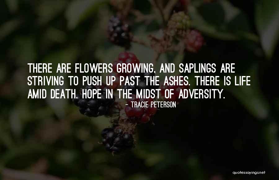 Flowers Growing Quotes By Tracie Peterson