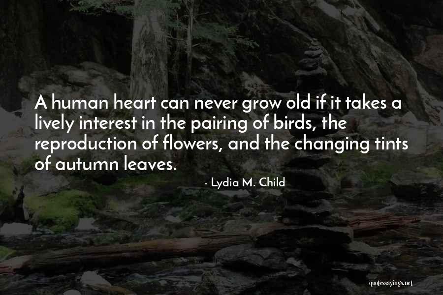 Flowers In Autumn Quotes By Lydia M. Child Flowers In Autumn Quotes By Lydia M. Child