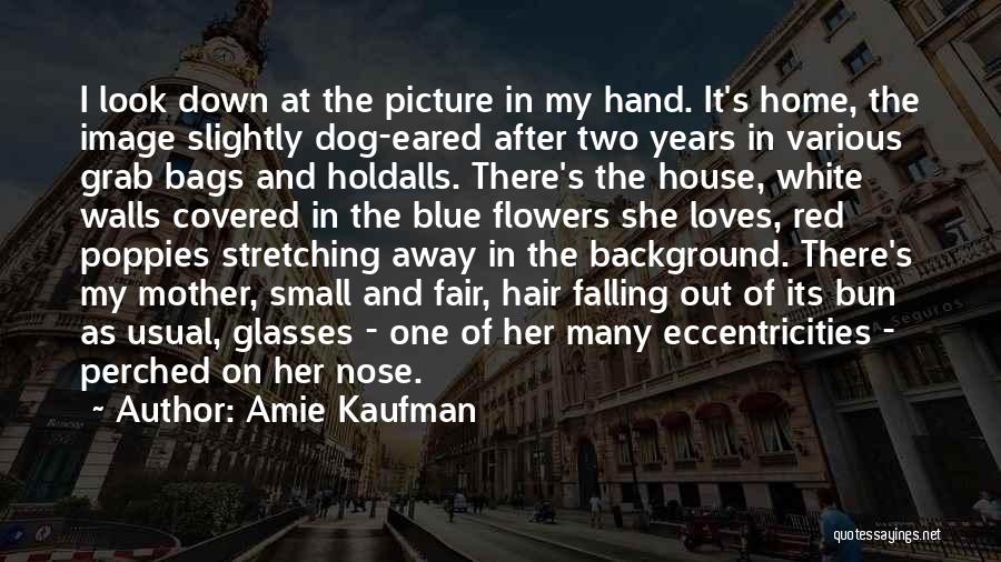 Flowers In The House Quotes By Amie Kaufman