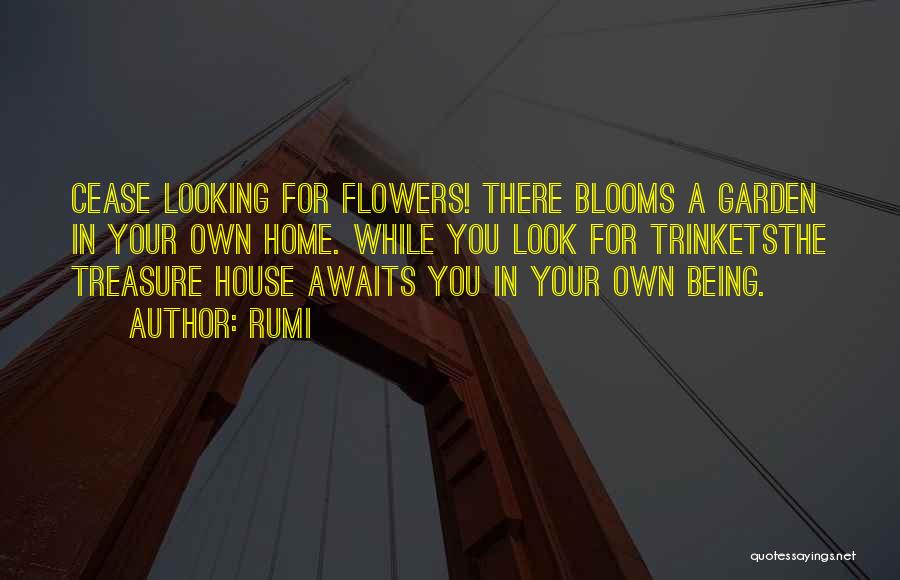 Flowers In The House Quotes By Rumi