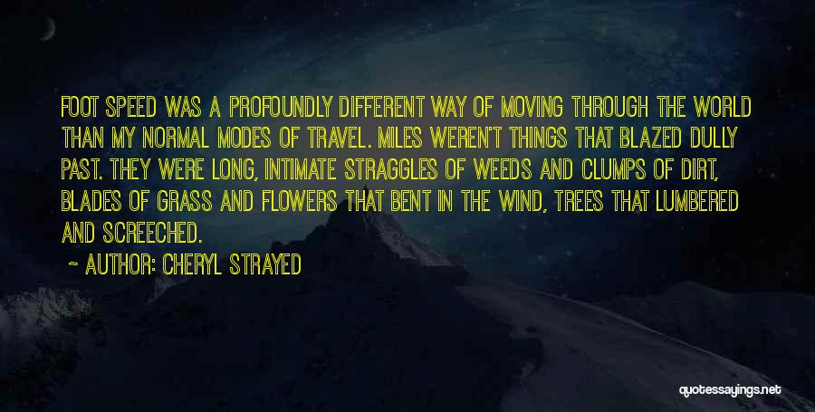 Flowers In The Wind Quotes By Cheryl Strayed