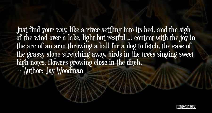 Flowers In The Wind Quotes By Jay Woodman