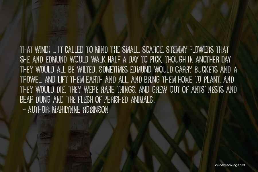 Flowers In The Wind Quotes By Marilynne Robinson