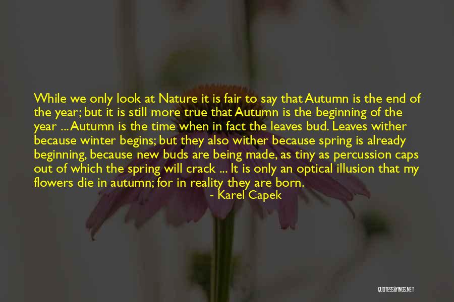 Flowers In The Winter Quotes By Karel Capek Flowers In The Winter Quotes By Karel Capek