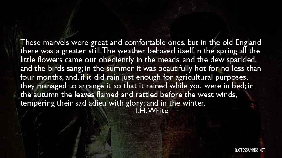 Flowers In Winter Quotes By T.H. White Flowers In Winter Quotes By T.H. White