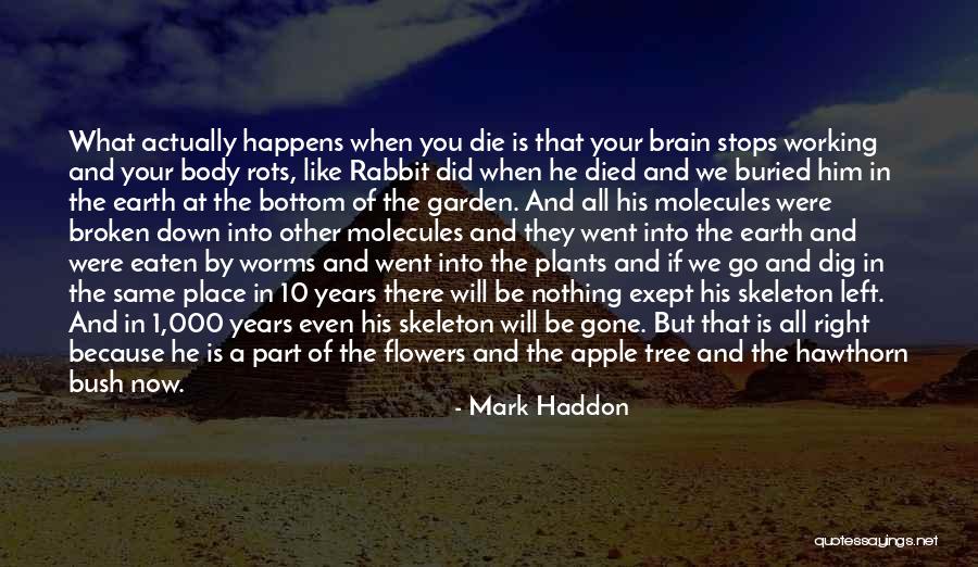 Flowers In Your Life Quotes By Mark Haddon Flowers In Your Life Quotes By Mark Haddon