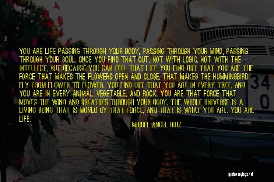 Flowers In Your Life Quotes By Miguel Angel Ruiz Flowers In Your Life Quotes By Miguel Angel Ruiz