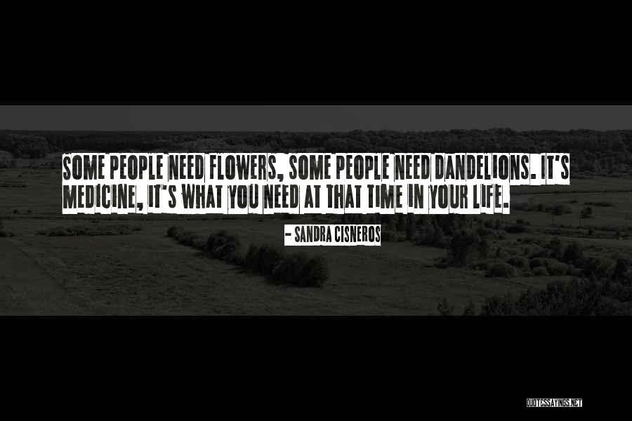 Flowers In Your Life Quotes By Sandra Cisneros Flowers In Your Life Quotes By Sandra Cisneros