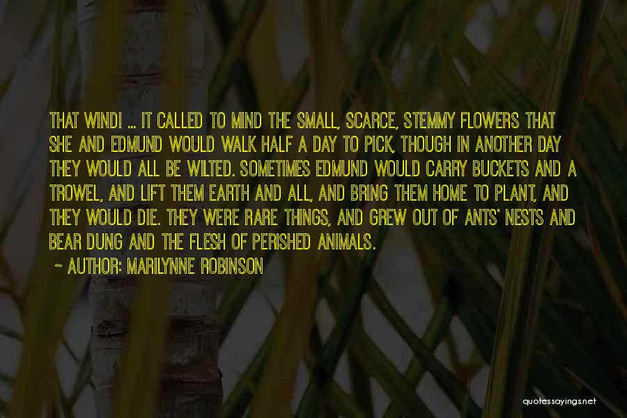 Flowers May Die Quotes By Marilynne Robinson