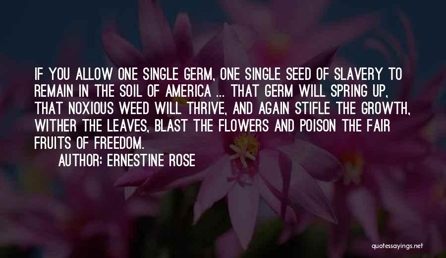 Flowers May Wither Quotes By Ernestine Rose