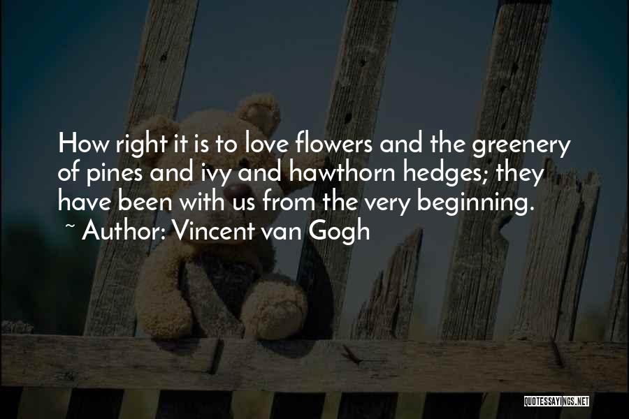 Flowers Of Love Quotes By Vincent Van Gogh