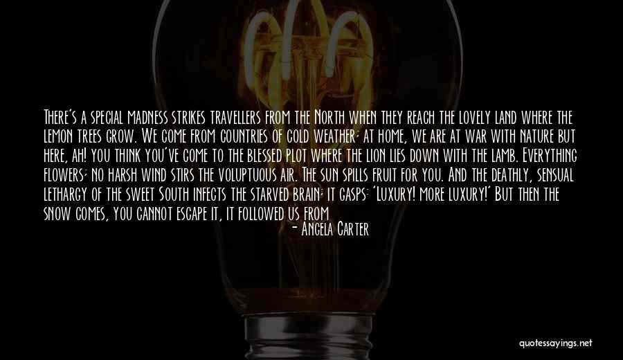 Flowers Of War Quotes By Angela Carter