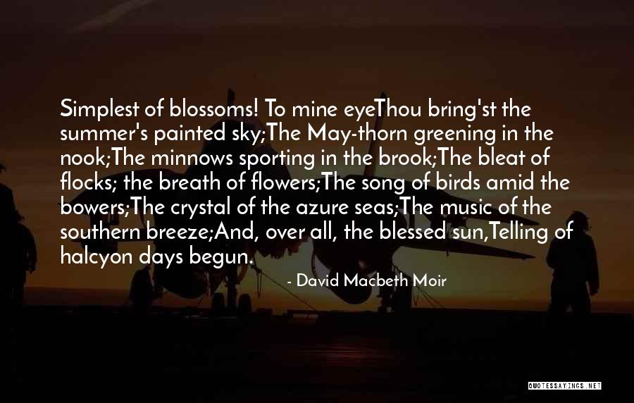 Flowers The Song Quotes By David Macbeth Moir Flowers The Song Quotes By David Macbeth Moir