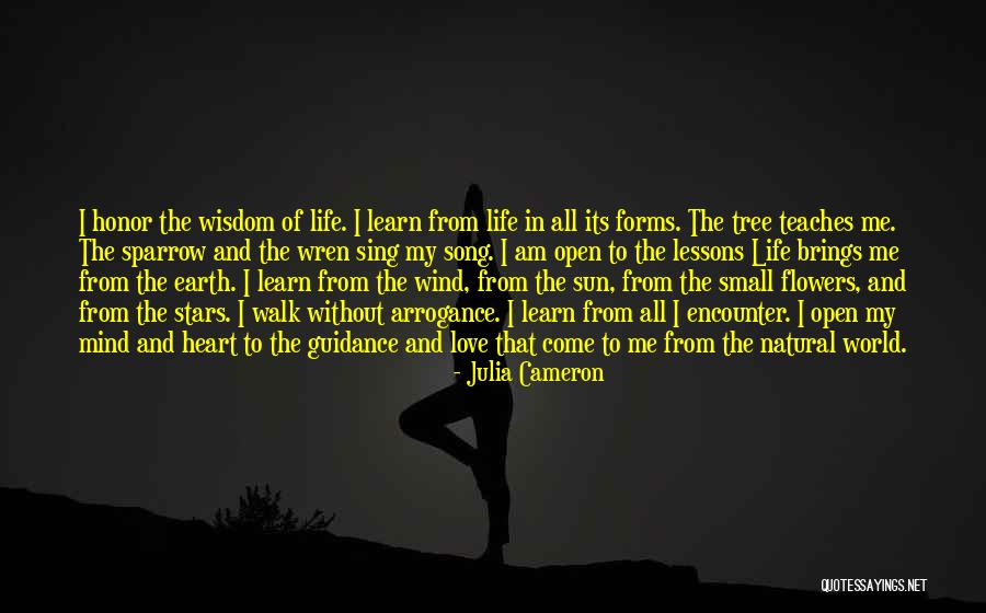 Flowers The Song Quotes By Julia Cameron Flowers The Song Quotes By Julia Cameron