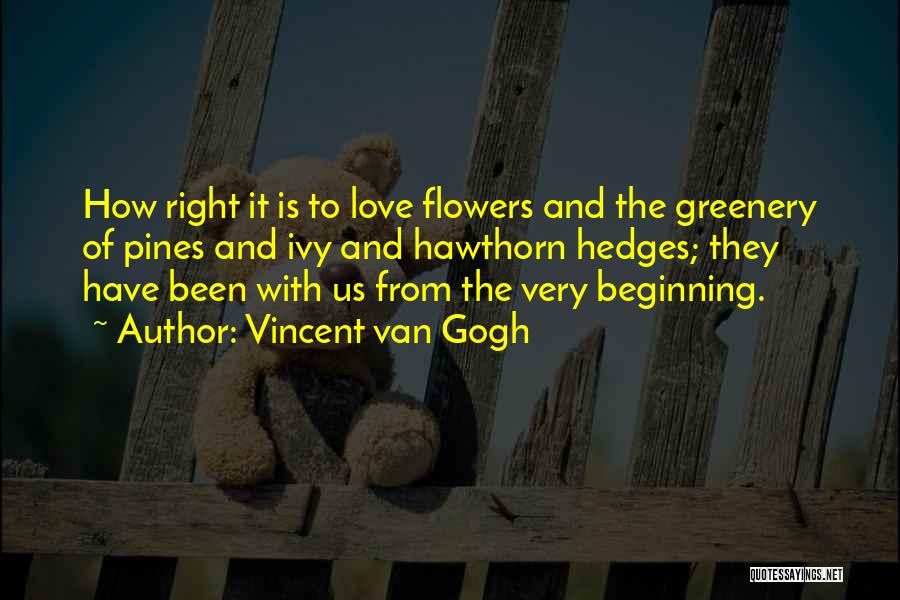 Flowers With Love Quotes By Vincent Van Gogh