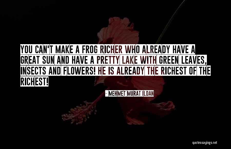 Flowers With Quotes By Mehmet Murat Ildan Flowers With Quotes By Mehmet Murat Ildan