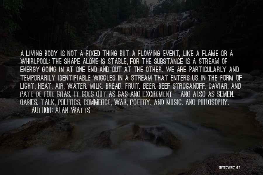 Flowing Like Water Quotes By Alan Watts