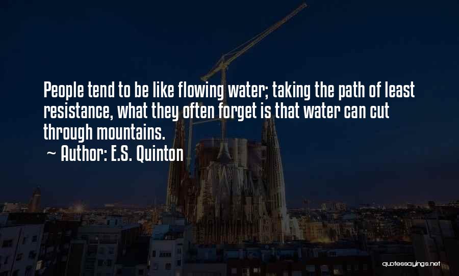 Flowing Like Water Quotes By E.S. Quinton