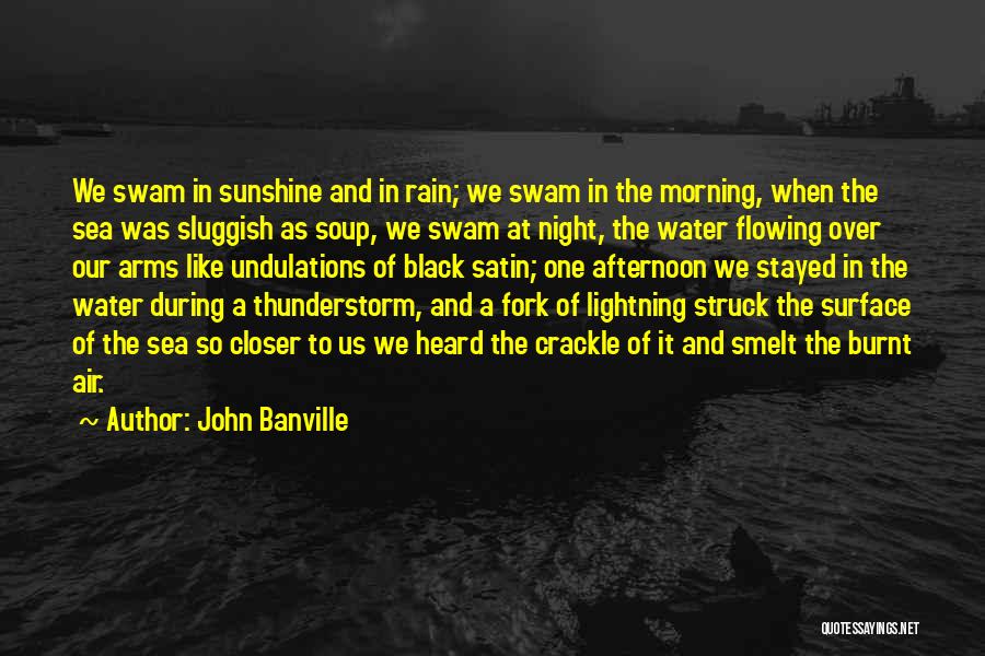 Flowing Like Water Quotes By John Banville