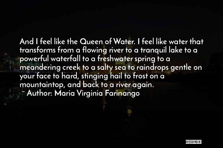 Flowing Like Water Quotes By Maria Virginia Farinango