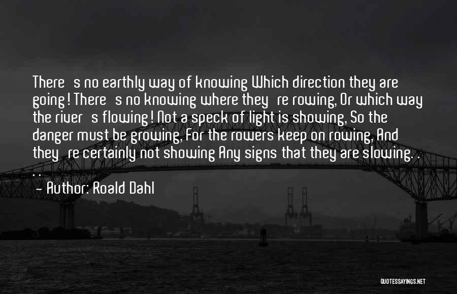 Flowing River Quotes By Roald Dahl