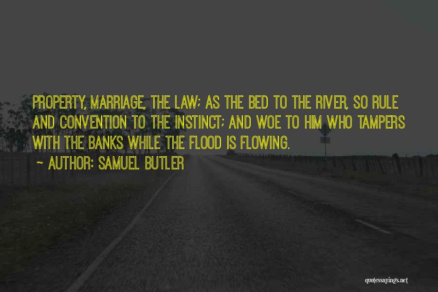 Flowing River Quotes By Samuel Butler