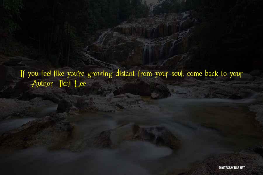 Flowing Stream Quotes By Ilchi Lee