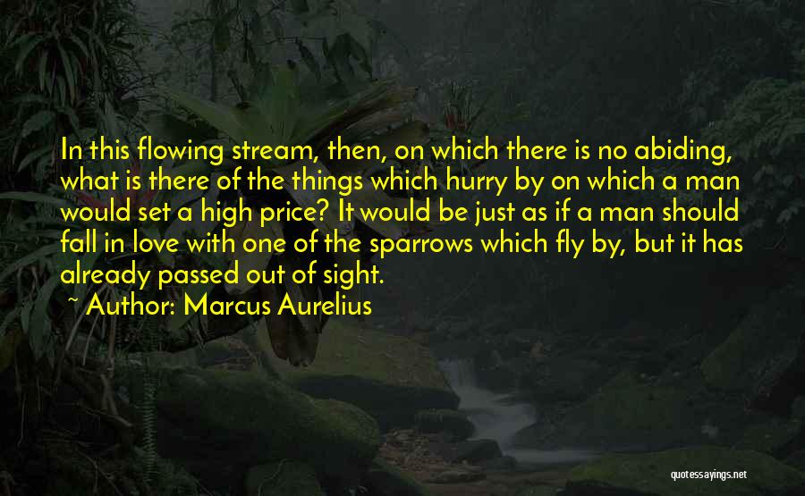 Flowing Stream Quotes By Marcus Aurelius