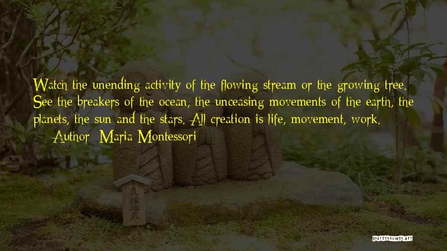 Flowing Stream Quotes By Maria Montessori