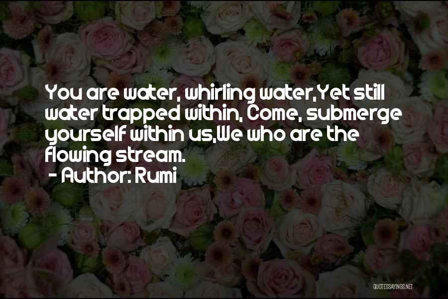 Flowing Stream Quotes By Rumi