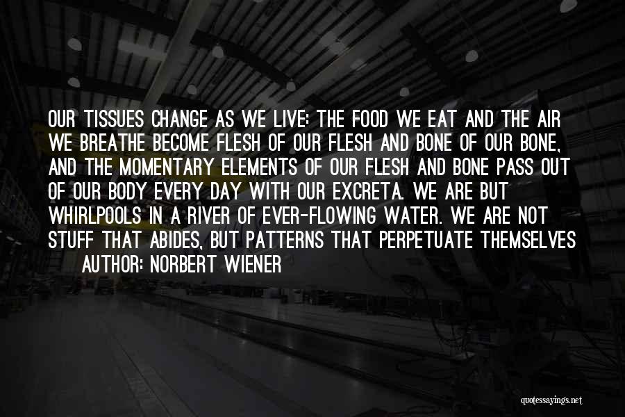 Flowing With Change Quotes By Norbert Wiener