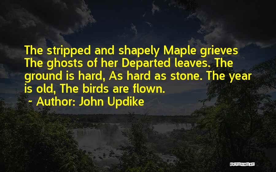 Flown Quotes By John Updike