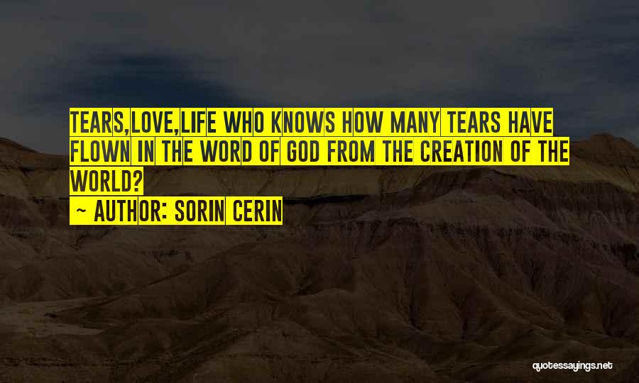 Flown Quotes By Sorin Cerin