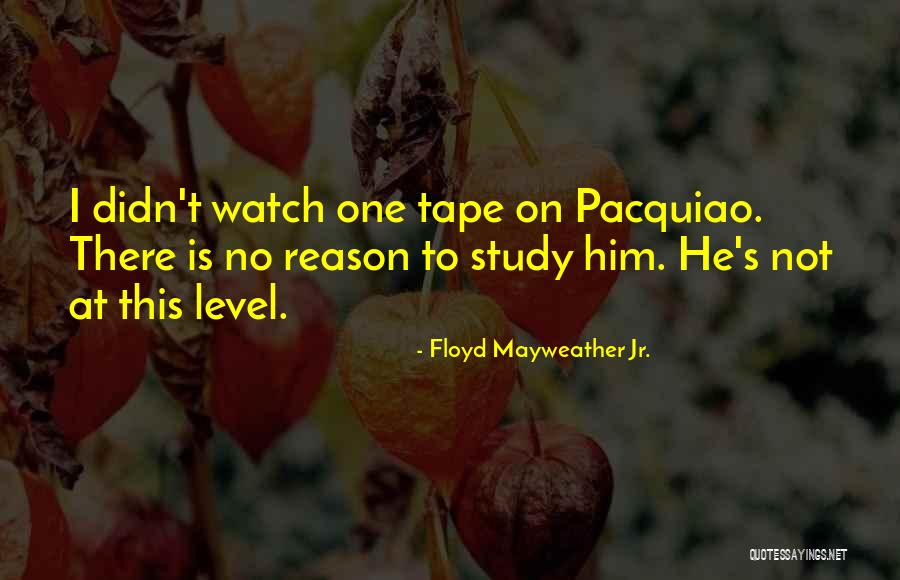 Floyd Mayweather Jr. Quotes 955589