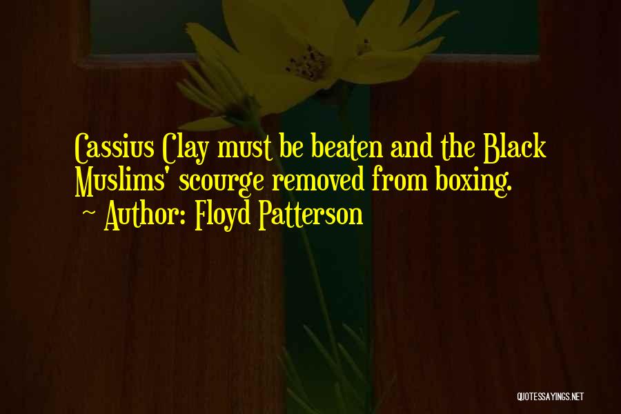Floyd Patterson Quotes 2014288